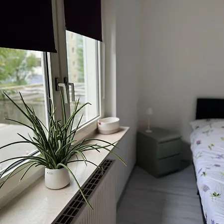 Rhein-main In Hattersheim * Hattersheim am Main